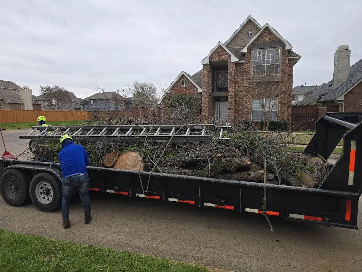 Expert Lot Clearing with proper safety equipment in Martin